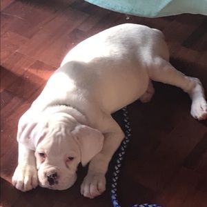 Meet your Posher, Sabrina